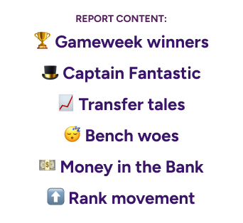 Gameweek reporttailored for your mini-league